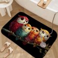 thumbnail image 3 of 1pc Four Colorful Owls Absorbent Non-Slip Bathroom Thickened Flannel Rug Decor,Soft,Quick Drying,Suitable For Indoor/outdoor Use,Bathrooms,Bedrooms,Kitchens,Terrace,Laundry Rooms,16"x24", 3 of 9