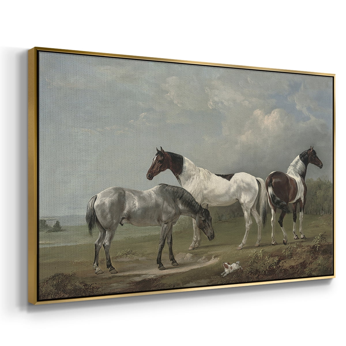 Vintage Animal Print-XX By Wexford Home Framed in Gold Wood Gallery Wrapped Canvas 17 in. x 25 in.