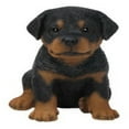 thumbnail image 3 of Hi-Line Gift Ltd, Rottweiler Puppy, 3 of 6