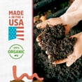 thumbnail image 5 of Back to the Roots Organic Worm Castings for Garden Soil, 3 lb Pouch, 5 of 11