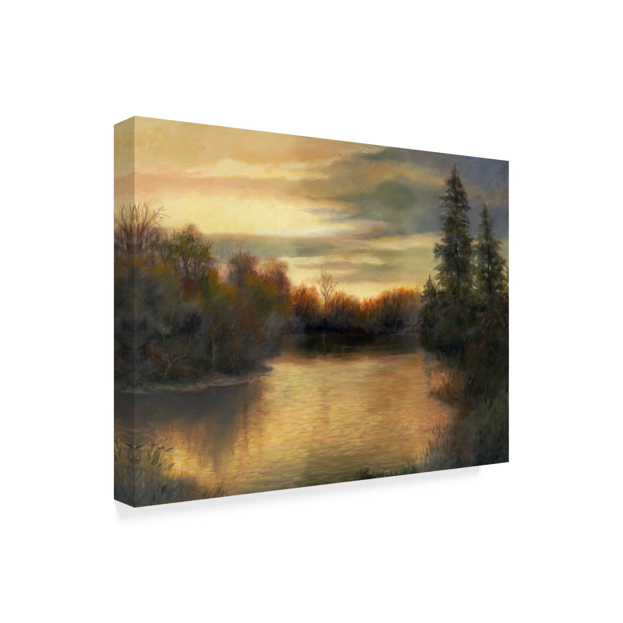 Trademark Fine Art 'Golden Moments' Canvas Art by Mary Jean Weber