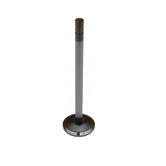 RAParts Standard Intake Valve Fits John Deere Models