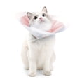thumbnail image 2 of Cat Recovery Collar Double Layer PVC Waterproof Elizabethan Cone for Post Surgery Pet Care Anti Lick Bite, 2 of 9