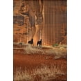 thumbnail image 2 of Drost, David 23x32 Gold Ornate Wood Framed with Double Matting Museum Art Print Titled - Custom Canyon Dewellers (ASH), 2 of 4