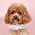 thumbnail image 3 of CBFFDC Ruffled Edge Pet Collar Sweet Lace Princess Style Pet Collar Faux Pearl Ethnic Embroidery Ruffled Design Breathable Grooming Tool, 3 of 6