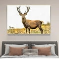 thumbnail image 4 of A Majestic Male Elk Stands Tall On a Meadow Poster Decorative Painting Canvas Wall Art Living Room Posters Bedroom Painting,Frame-style,20x30inch(50x75cm), 4 of 8