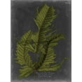 thumbnail image 2 of Vision Studio 12x14 Gold Ornate Wood Framed with Double Matting Museum Art Print Titled - Foliage Dramatique I, 2 of 4