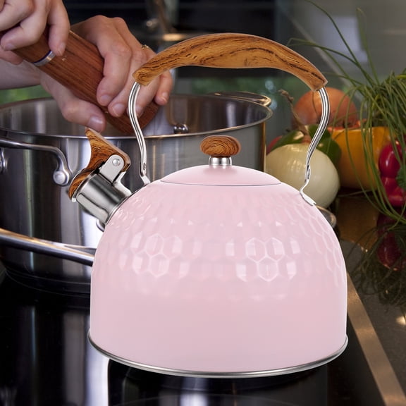 Luxshiny Stainless Steel Whistling Tea Kettle Kitchen Appliance Simple Shape 1Pack