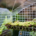 thumbnail image 3 of Patiojoy 46"x 50' 23 Gauge 1/4" Fence Mesh Galvanized Wire Hardware Cloth, 3 of 10