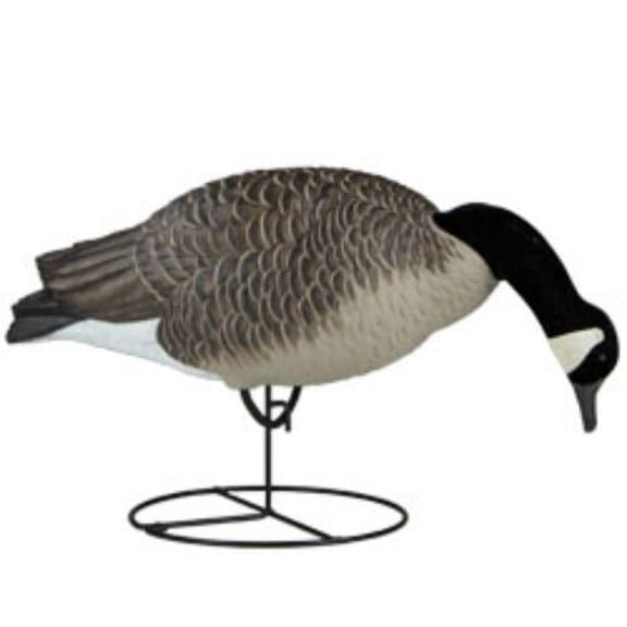 Dakota Decoy Signature Series Full Body Feeder Canada Goose Decoy 6PK
