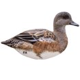 thumbnail image 2 of Final Approach Last Pass Wigeon Silhouette Decoys, 12 Pack, 2 of 5