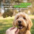 thumbnail image 5 of Honest to Goodness Protein Bites Salmon & Apple Recipe Soft Jerky Chews for Dogs, 5.5 oz., 5 of 8