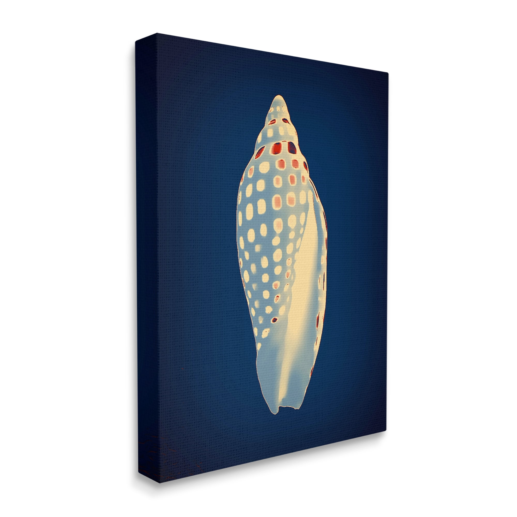 Stupell Industries Contemporary Conch Shell Animals & Insects Painting Gallery Wrapped Canvas Print Wall Art, 24 x 30