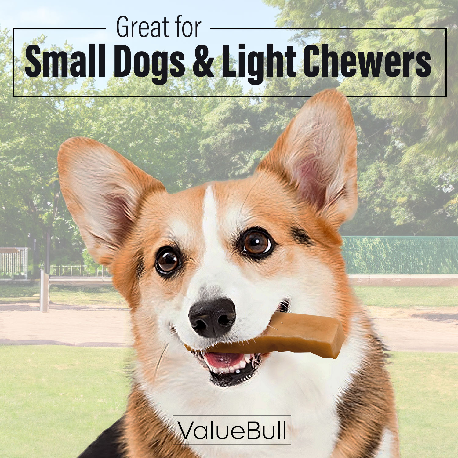 ValueBull Himalayan Yak Cheese Dog Chews, Small, 6 lb Bulk Pack