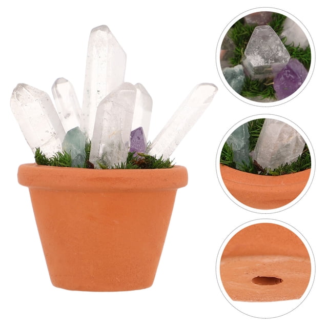 IDEANATEGRATE De Cristal Con Piedra Natural Para De Oficina Y Hogar Estilo Bonsái
