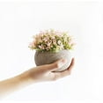 thumbnail image 2 of Realistic Artificial Plants, Mini Potted for Home Decor, Plastic Material Low Maintenance for Office, Environmental Sustainability, Decorative Plants (4PCS), 2 of 5