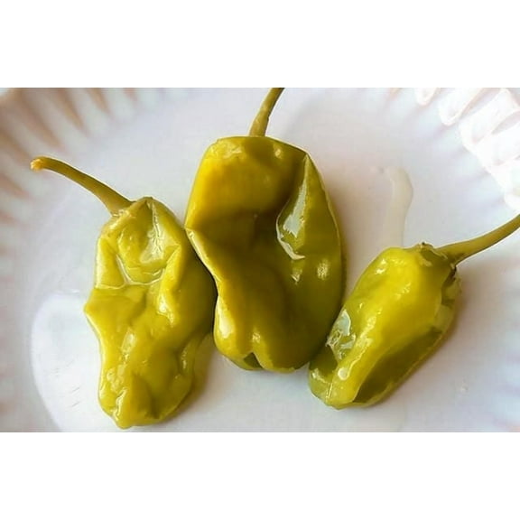 50 Seeds GREEK GOLDEN PEPPER Pepperoncini Gold Yellow Capsicum Annuum Vegetable Seeds