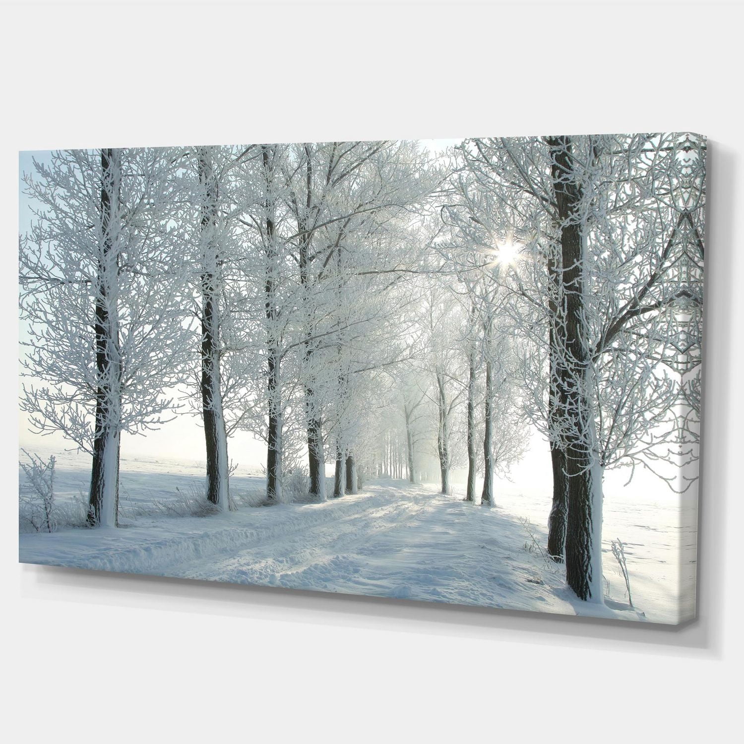 Designart Winter Trees Backlit by Morning Sun Canvas Wall Art