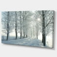 thumbnail image 3 of Designart Winter Trees Backlit by Morning Sun Canvas Wall Art, 3 of 4
