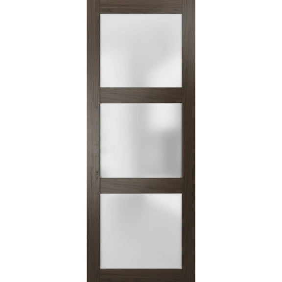 Slab Barn Door Panel Frosted Glass 32 x 80 inches | Lucia 2552 Chocolate Ash | Sturdy Finished Doors | Pocket Closet Sliding