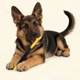 thumbnail image 5 of 3 Toothbrush for Dogs&Cats with Soft Easy Teeth Cleaning& Care for Medium&Large, 5 of 5