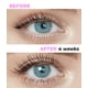thumbnail image 2 of Sérum para el crecimiento de pestañas y cejas Stacy Lash, 5 ml, 2 of 9