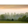 thumbnail image 2 of Wells, Joanne 18x13 Gold Ornate Wood Framed with Double Matting Museum Art Print Titled - Tennessee Early morning fog in Cades Cove, 2 of 4