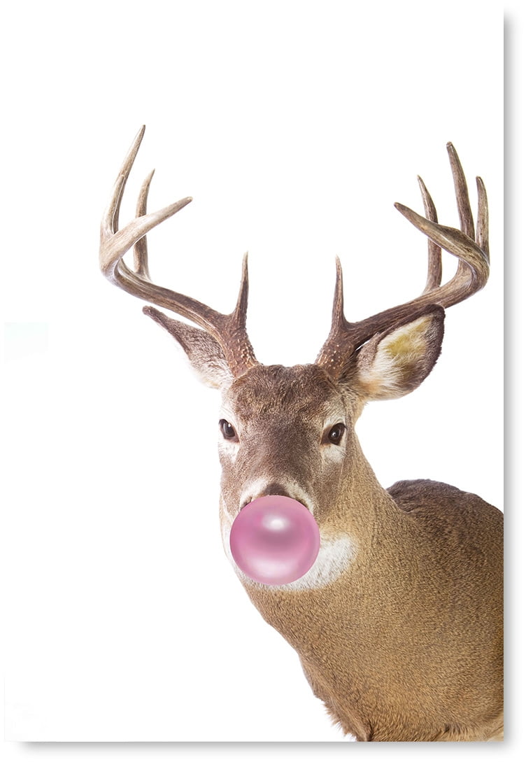animal bubble gum