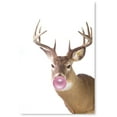 thumbnail image 1 of Awkward Styles Cute Animal Chewing Bubble Gum Posters Deer with Pink Gum Cute Animal Poster Fresh Wall Art Gift Children Painting Art Housewarming Gifts Ideas Deer Chewing Gum Kids Gifts Ideas, 1 of 4