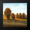 thumbnail image 2 of OToole, Tim 15x15 Black Modern Framed Museum Art Print Titled - Afternoon Light VI, 2 of 5
