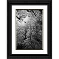 thumbnail image 1 of Stamenkovic, Goran 23x32 Black Ornate Wood Framed with Double Matting Museum Art Print Titled - Flight, 1 of 4