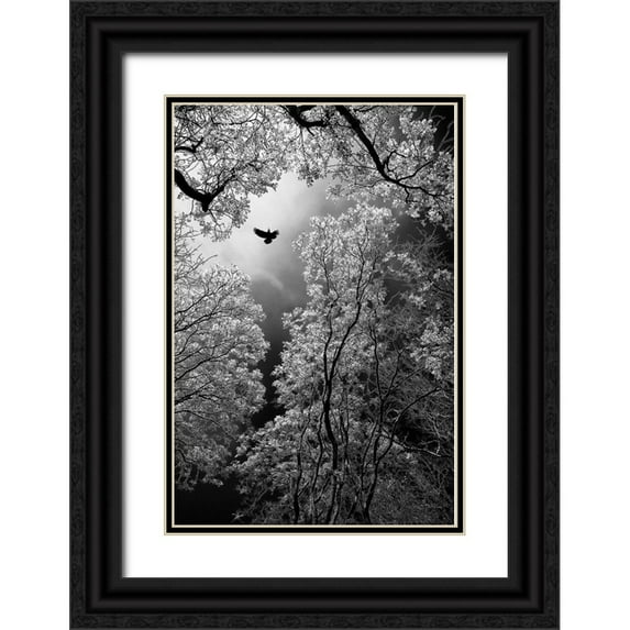 Stamenkovic, Goran 23x32 Black Ornate Wood Framed with Double Matting Museum Art Print Titled - Flight