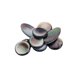 thumbnail image 5 of Soprano Alto Saxofón Acero de sonido Almohadillas Instrumentos musicales Mats Mantenimiento Kit Músicos Estudiantes Accesorios Piezas de repuesto Yuarrent OD010979-00, 5 of 7