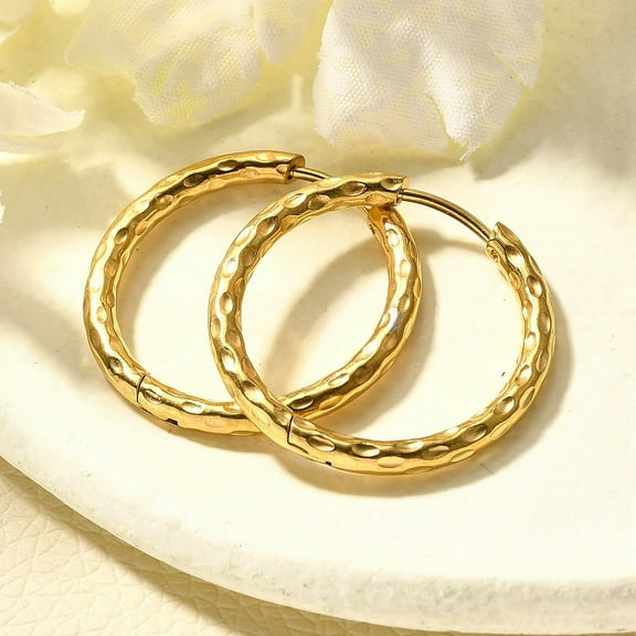 10pairs 304 Stainless Steel Hoop Earrings for Women Ion Plating(IP) Ring Real 14K golden Plated 25x2.5mm