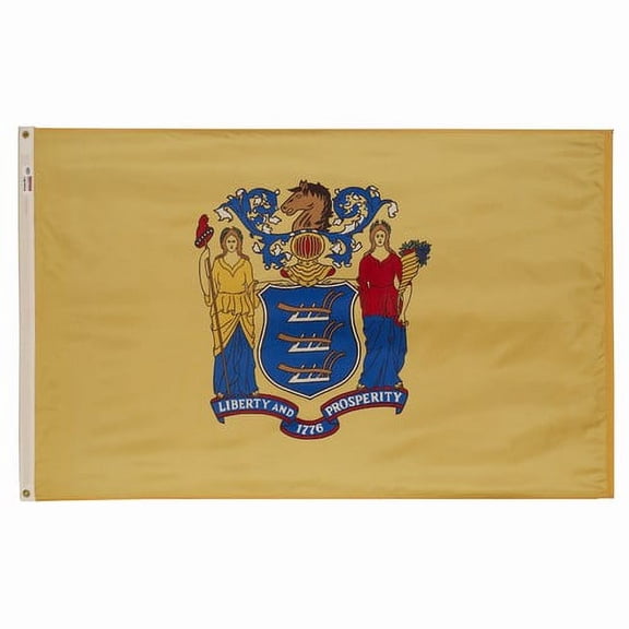 3x5' POLYWAVEZ NEW JERSEY POLY II FLAG CH&G
