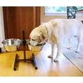 thumbnail image 5 of Iconic Pet Adjustable Stainless Steel Pet Double Diner For Dog, 5 Qt, 160 Oz, 20 Cup, 5 of 13