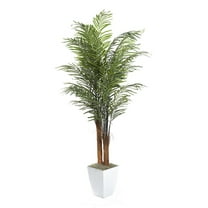 8' Areca Palm in White Square Metal Planter