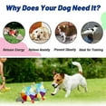 thumbnail image 5 of Funny Rainbow Plh Flying Saucer Dog Toys tdoor Interactive Training mes Chew Toy Pets Flying Discs Toys Dog Accories, 5 of 6