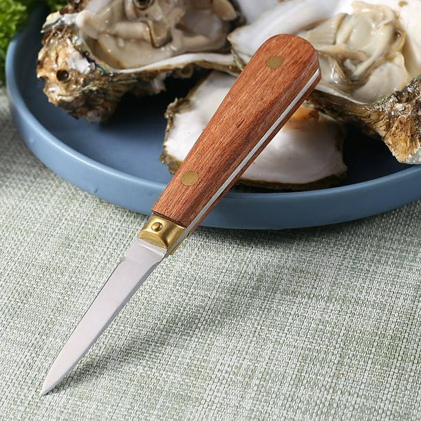 Couteau à trancher d'huîtres Ensemble de couteaux à huîtres Couteau à  palourdes Ouvre-huîtres Kit d'ouvre-fruits de mer Outil d'ouvre-huîtres 