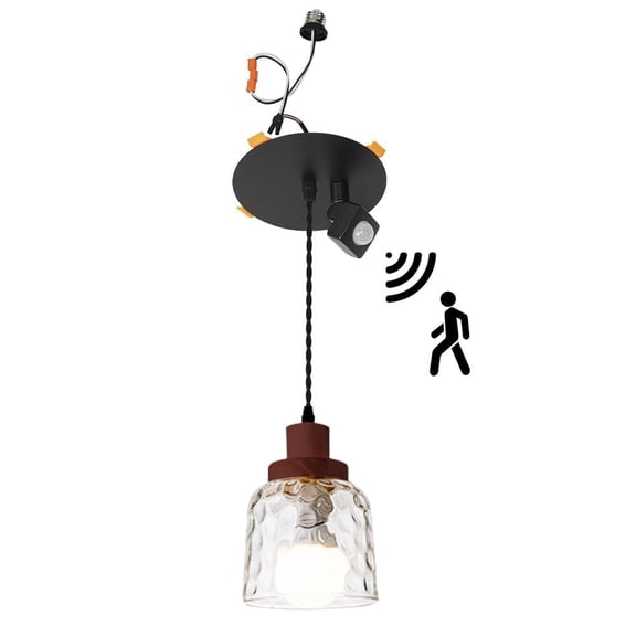 KAYYELAMP 1 Pcs Motion Sensor Recessed Light Conversion Kit for E26 Recessed Mount Cans Walnut Base Clear Glass Shade Hanging Light Vintage Design for Kitchen Corridor Office(No Bulb)