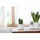 thumbnail image 3 of Set med keramiska blomkrukor, inomhusblomkruka, vit kruksett, keramisk blomkruka, behållare, utomhus, stor med fat (vit), 3 of 5