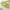 Green, variant on Cethrio Toddler Girls Outfit Sets, Short Sleeve Summer Casual Shirts and Shorts Sets Dark Gray Size 3-4 T