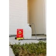 thumbnail image 3 of Bengal 33100 2 oz Concentrated Roach Flea Tick Ant Spider Insecticide - Quantity of 6, 3 of 5