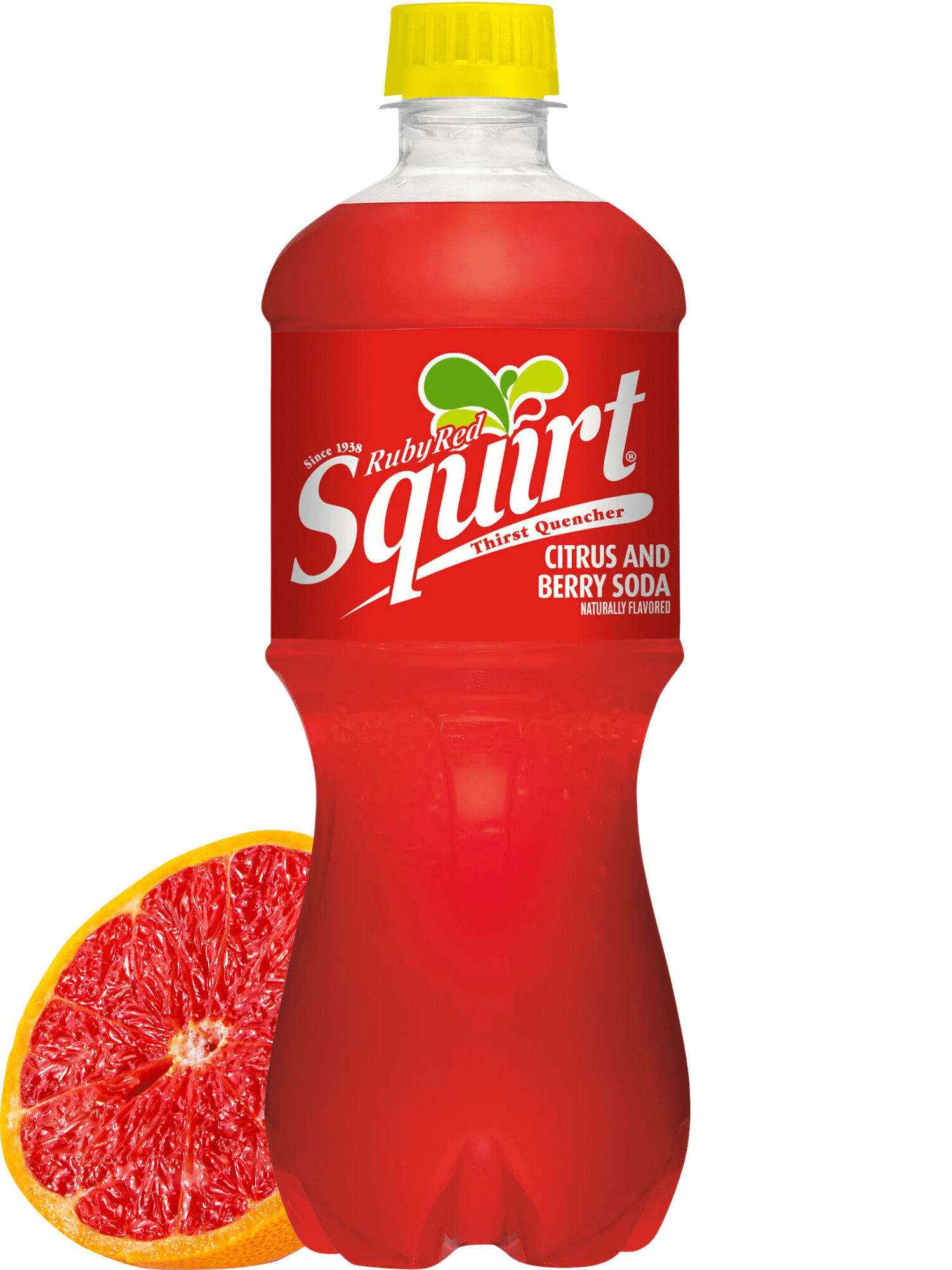 Squirt Ruby Red Citrus and Berry Soda 24 Pack 20 oz Bundled by