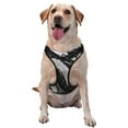 thumbnail image 1 of KLL Fluid Black White Paint Swirls Pattern Dog Harness - Lightweight,Soft,Adjustable Small Harness and Leash Set-Medium, 1 of 6