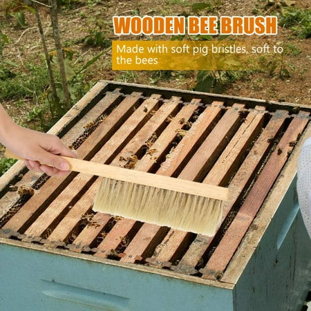 

Wooden Bee Brush Wood + Bristles Material Bee Brush With Wooden Handle For Beekeepers Brushing Bees