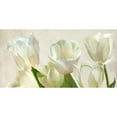 thumbnail image 3 of Villa, Luca 24x14 Black Modern Framed Museum Art Print Titled - White Tulips (detail), 3 of 5