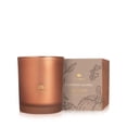 thumbnail image 1 of Thymes Scented Candles for Home Decor - Luxury Home Fragrance Gifts for Women & Men - Fall Candles with Creamy Pumpkin, Nutmeg, & Cinnamon - Burnt Orange (Pumpkin Laurel, 6.5, 1 of 9