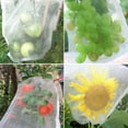 thumbnail image 5 of 50 Pieces Fruit Protection Bags-Bexikou 6x4 Inch Fruit Netting Bags with Drawstring,Garden Fruit Cover Mesh Bag to Protect Plants from Pest Birds Squirrels, 5 of 7