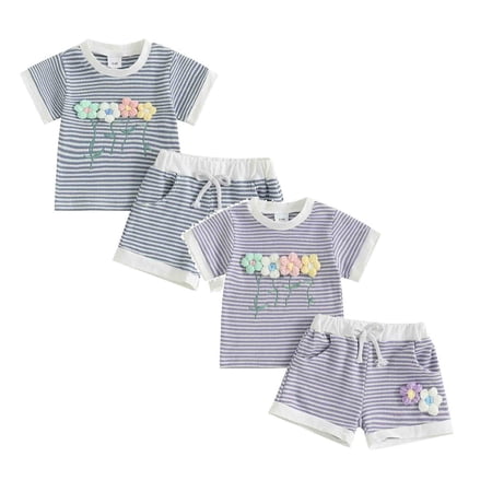 YDFCWXW Toddler Baby Girl Outfits Floral Summer Clothes Infant Spring Short Sleeve Shirt Tops Cute Shorts Set Pack of 2 (Purple 1PCS & Light Blue 1PCS 9-12 Months)